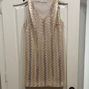 Trina Turk Gold and Taupe Zigzag Sequin Mini Dress
